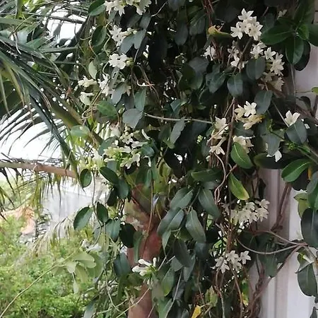 Casa Pico Musica Apartamento *