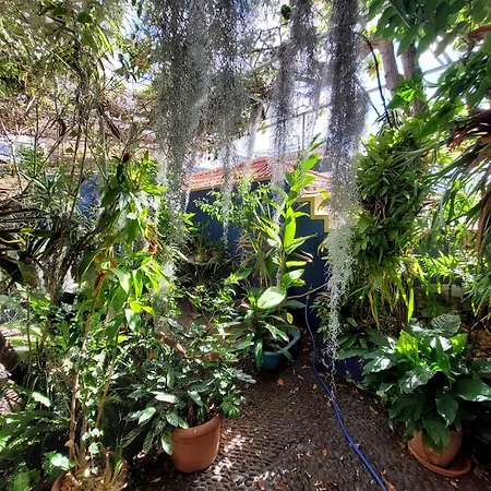 Casa Pico Musica Apartamento *