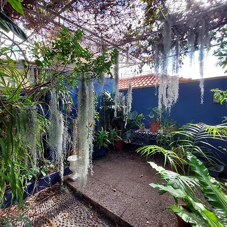 Apartamento Casa Pico Musica Funchal (Madeira)