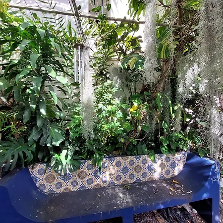 Apartamento Casa Pico Musica